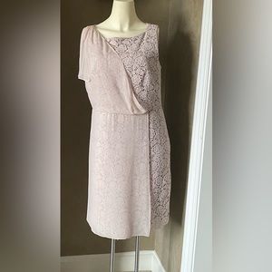 Ann Taylor Beige Knee Length Dress Lace With Partial Sheer Panel Women's Size 10